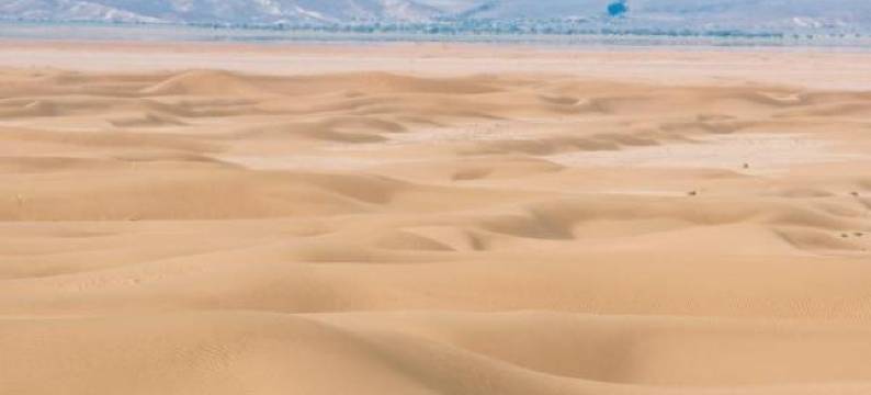 游牧生活营地酒店(Bivouac les Nomades & Foum Zguid Camel Trekking and Tours)图片