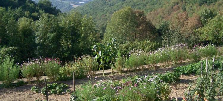 布朗内特小屋酒店(Les gîtes du Mas Brunet)图片
