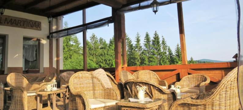 马提纳克霍尔斯基酒店(Wellness Aparthotel Martiňák)图片