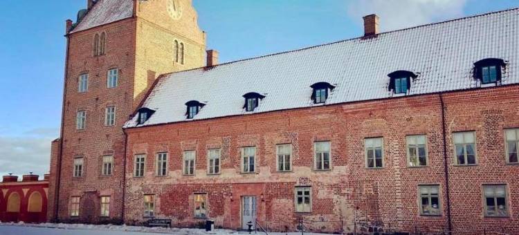 巴卡斯戈斯洛特-加龙省酒店(Bäckaskog Slott)图片