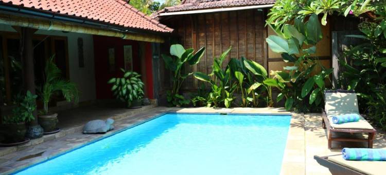 罗维纳海滩别墅(Lovina Beachhouse Villas)图片