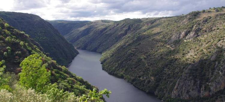 拉加拉－阿瑞贝斯酒店(Hotel la Jara-Arribes)图片