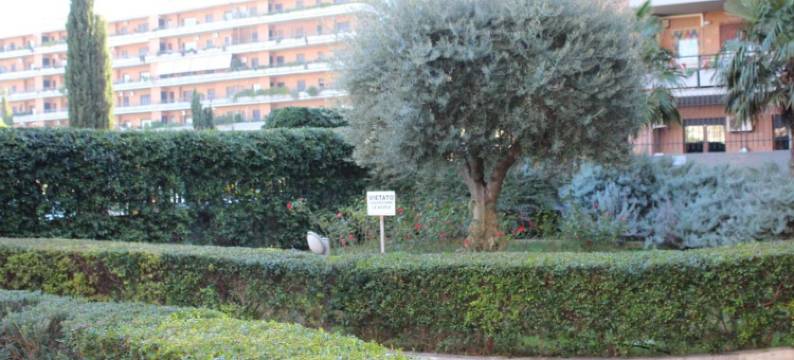 菲乌米奇诺普莱亚迪机场住宿加早餐旅馆(B&B le Pleiadi Aeroporto Fiumicino)图片