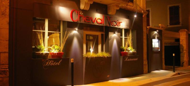 洛吉斯黑马酒店(Logis Hôtel le Cheval Noir)图片