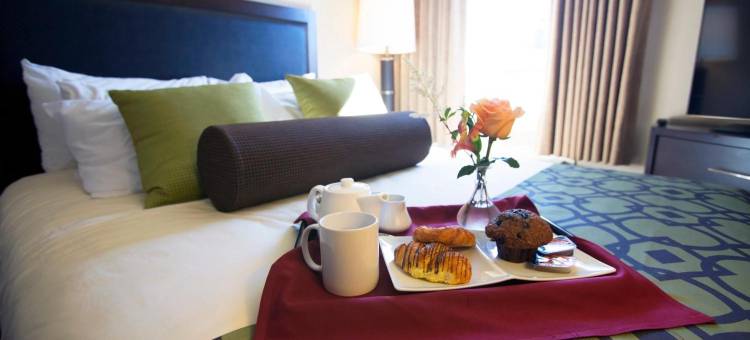 斯阔米什行政套房度假酒店(Executive Suites Hotel and Resort - Squamish BC)图片