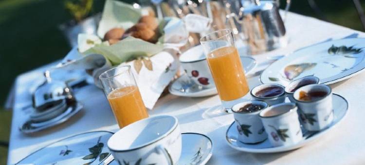 欧瑞芝斯酒店(Hôtel les Orangeries)图片