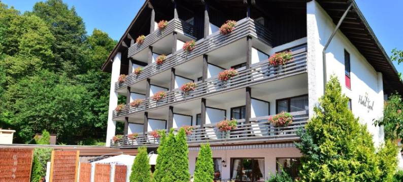 蒂罗尔酒店(Hotel Tyrol - Oberstaufen Plus Partner)图片