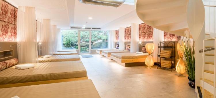 罗西瑙城堡高级酒店(Schlosshotel Rosenau Superior)图片