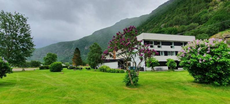 莱德尔酒店(Lærdal Hotel)图片