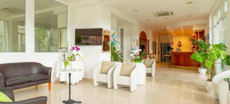 内格雷斯科酒店(Hotel Negresco)图片