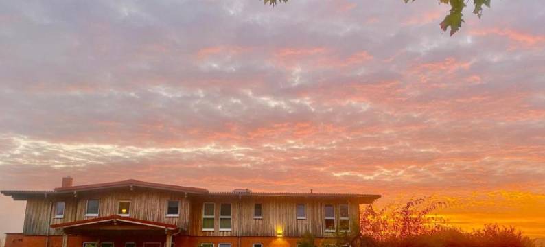 拉彭霍夫酒店(Hotel Rappenhof)图片