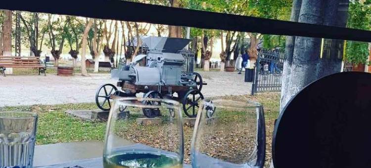 Villa Bratislava图片