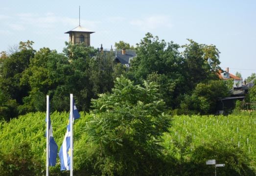 Gästehaus Deidesheim Hotel Overview
