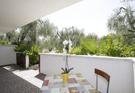 Agriturismo da Mauro Hotel Overview