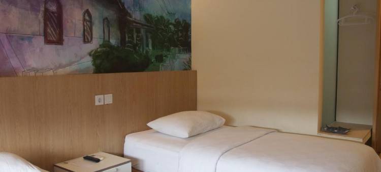 城市酒店(The City Hotel)图片