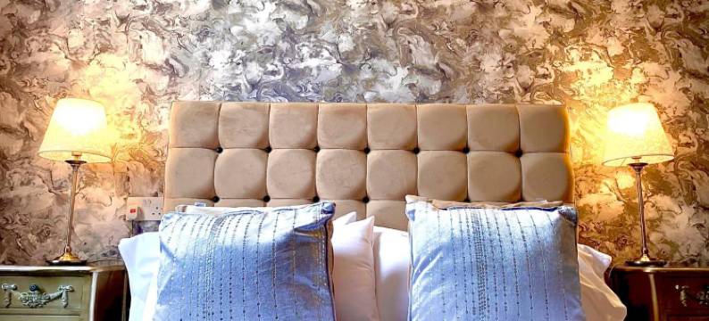 卡邦树镇之家旅馆(The Capon Tree Town House)图片