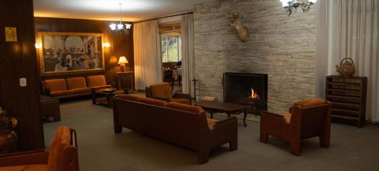 阿斯科纳酒店(Hotel Ascona)图片