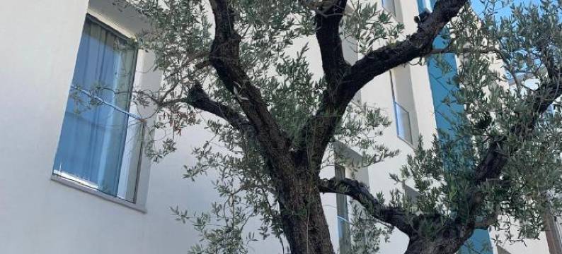 Biancodonda Greenblu 酒店 & 水疗中心(Biancodonda Greenblu Hotel & Spa)图片