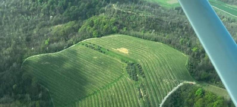 泰努塔瓦尔多米尼农家乐(Tenuta Valdomini)图片