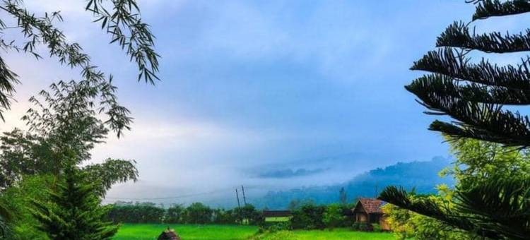 库曼科利传统度假村(Koomankolly Resort)图片