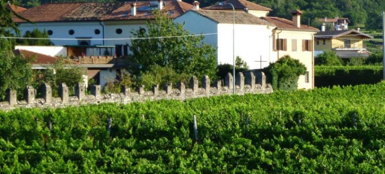 格里约伊欧勒农庄(Agriturismo Grillo Iole Winery)图片