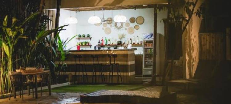 丛林加成酒店(Jungle Addition)图片