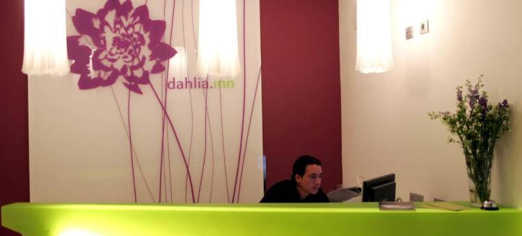 大丽花酒店(Dahlia Inn)图片