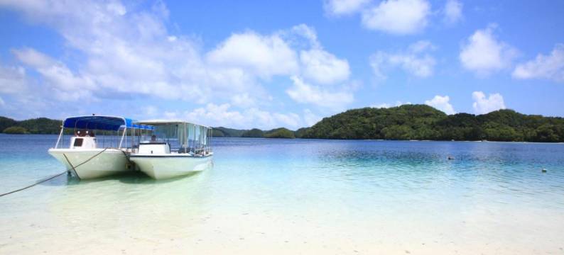 玫瑰园度假酒店(Rose Garden Resort)图片