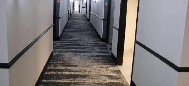 休斯顿布什IAH南拉昆塔温德姆套房酒店(La Quinta Inn & Suites by Wyndham Houston Bush IAH South)图片