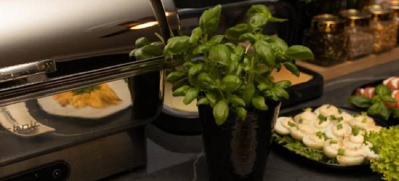 南纬公园酒店会议及SPA(POŁUDNIK Park Boutique Conference&Spa)图片