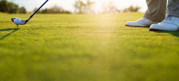 巴尔的摩BWI机场丽怡酒店(Country Inn & Suites by Radisson, BWI Airport (Baltimore), MD)图片