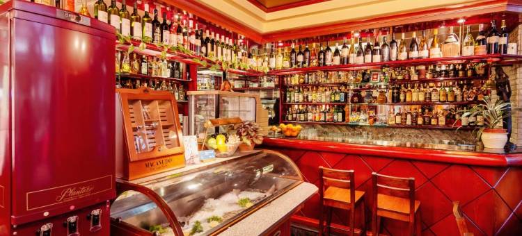 蒙特丽格伊洛酒店(Hotel Montenegrino)图片