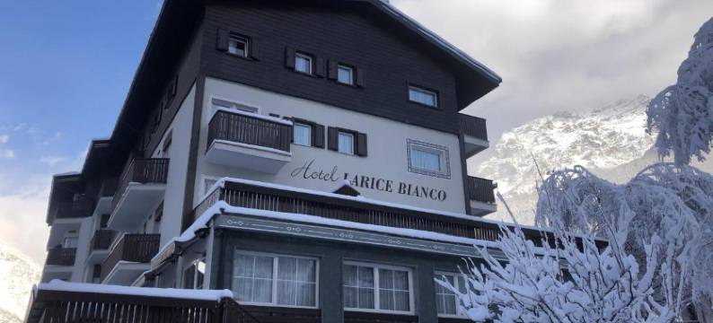 拉里斯毕安科酒店(Hotel Larice Bianco)图片