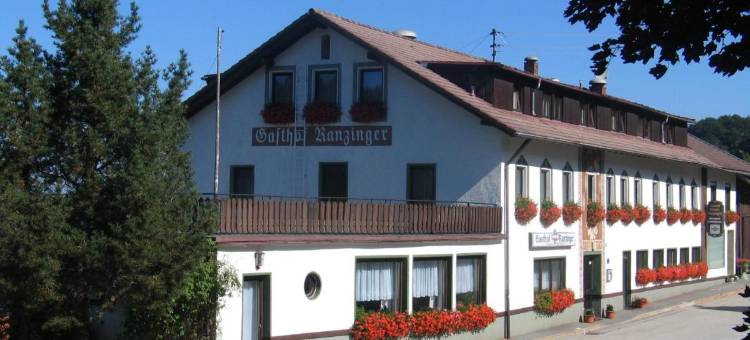 兰辛格尔全景酒店(Panorama-Landgasthof Ranzinger)图片