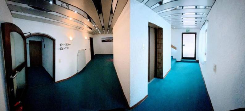 维塔赖斯卡酒店(Vitalesca)图片