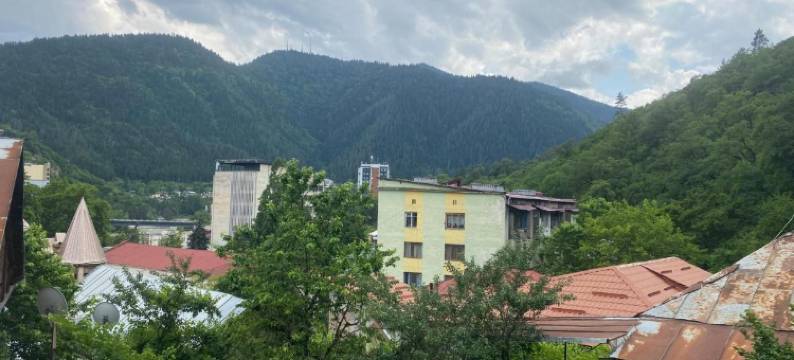 山坡旅馆(Hillside Guesthouse)图片