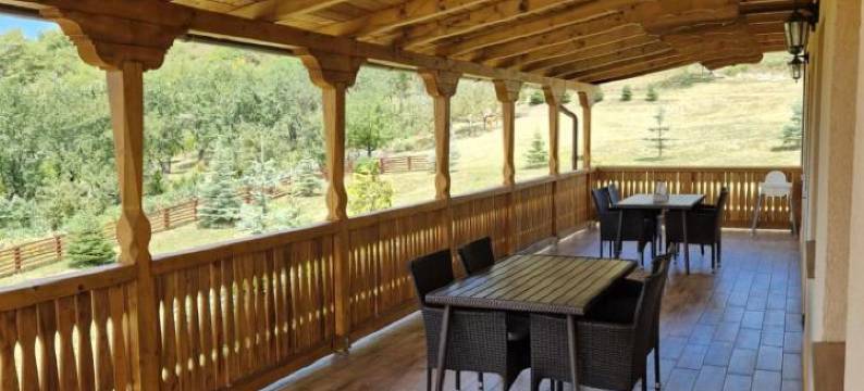 Pensiunea la Conac图片