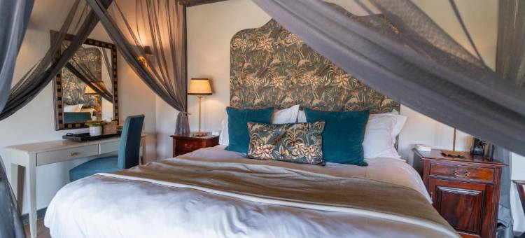 The Last Word Kitara图片