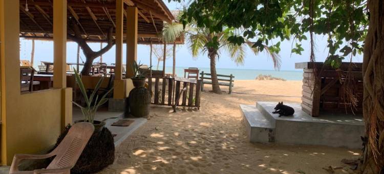 海景海滩度假村 - 卡尔皮蒂耶(Ocean View Beach Resort - Kalpitiya)图片