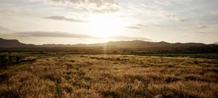 Casa Rural Aloe Vera图片