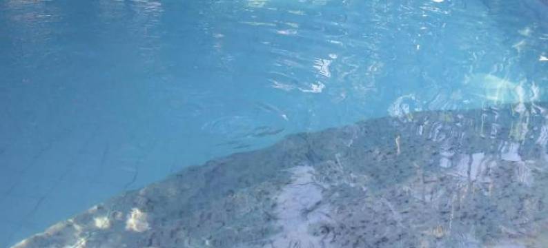 白礁旅馆(Pousada Pedras Brancas)图片