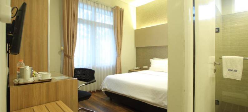 达戈207号旅馆(Dago 207)图片