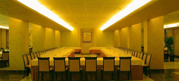 唐璜庄园新凯水疗酒店(Silken Spa la Hacienda de Don Juan)图片