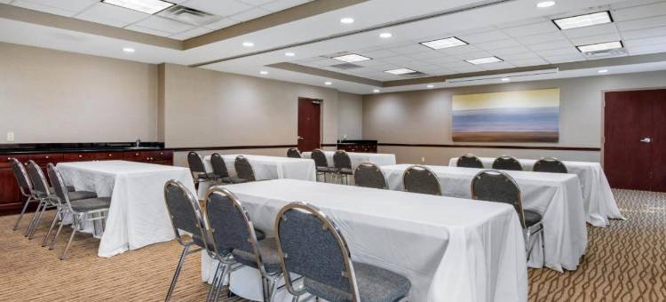 塔瓦雷斯北舒适套房酒店(Comfort Inn & Suites Tavares North)图片