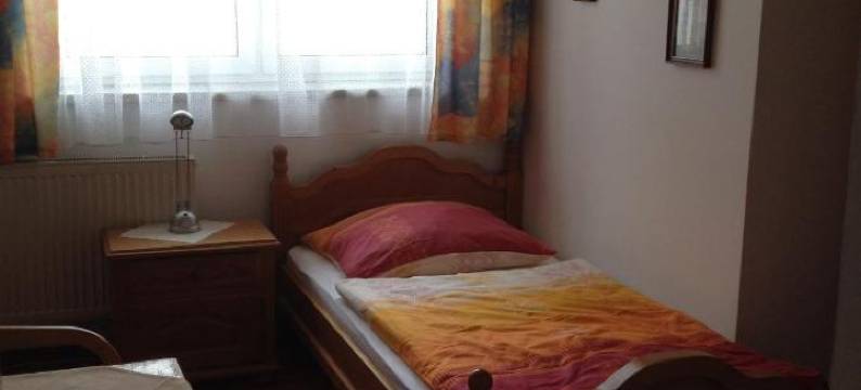 Gasthof Und Pension Haunschmid图片