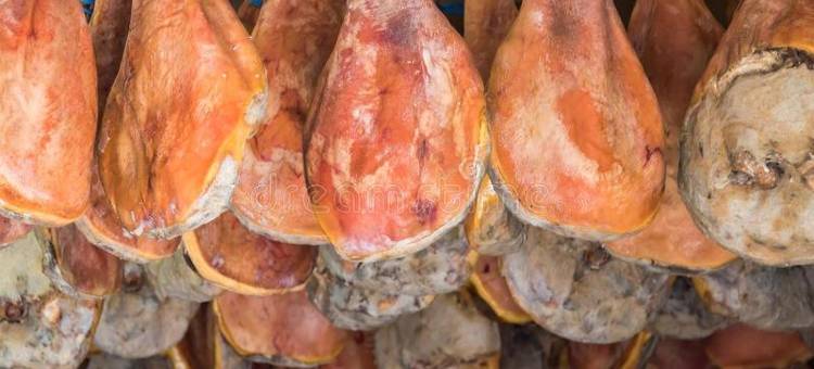 巴约讷科亚公寓(Baionakoa Résidence)图片