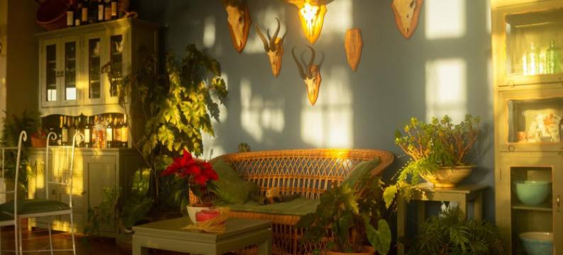 阿尔托别墅精品酒店(Villa Alto Boutique Hotel)图片