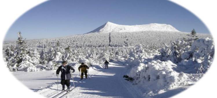 Loire-Gerbier-Mézenc图片