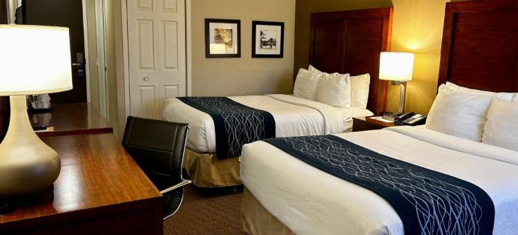 圣乔治舒适酒店(Comfort Inn)图片