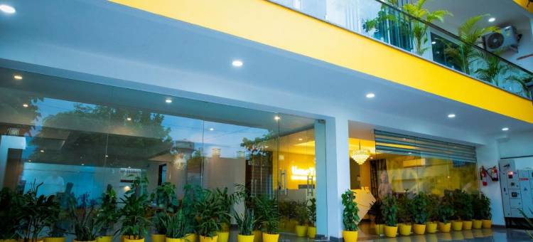 酸橙树豪华工作室(Lime Tree Luxury Studio - Service Apartment Near Artemis Hospital ,Gurgaon)图片